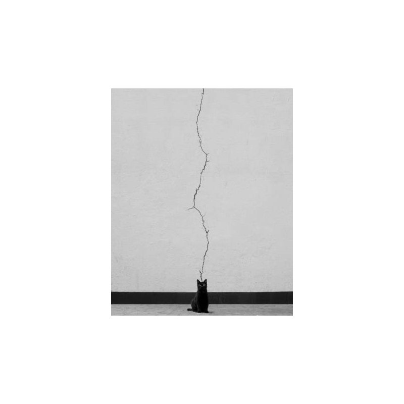 Wrapped Canvas Print, 81.28cm H x 121.92cm W