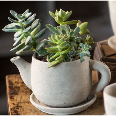 Cement Tea Planters Concrete Statue Planter