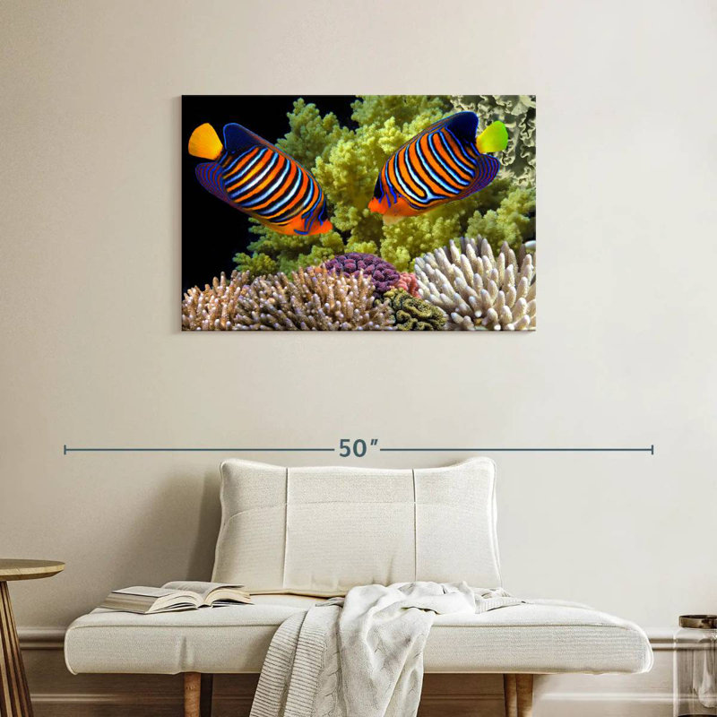 Brampt Red Sea Reef Regal Angelfish, 24" H x 36" W