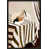 Black Single Structure Framed Paper