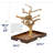 Freeport One-of-a-Kind 22.5'' Wood Bird Play Stand for Table Top