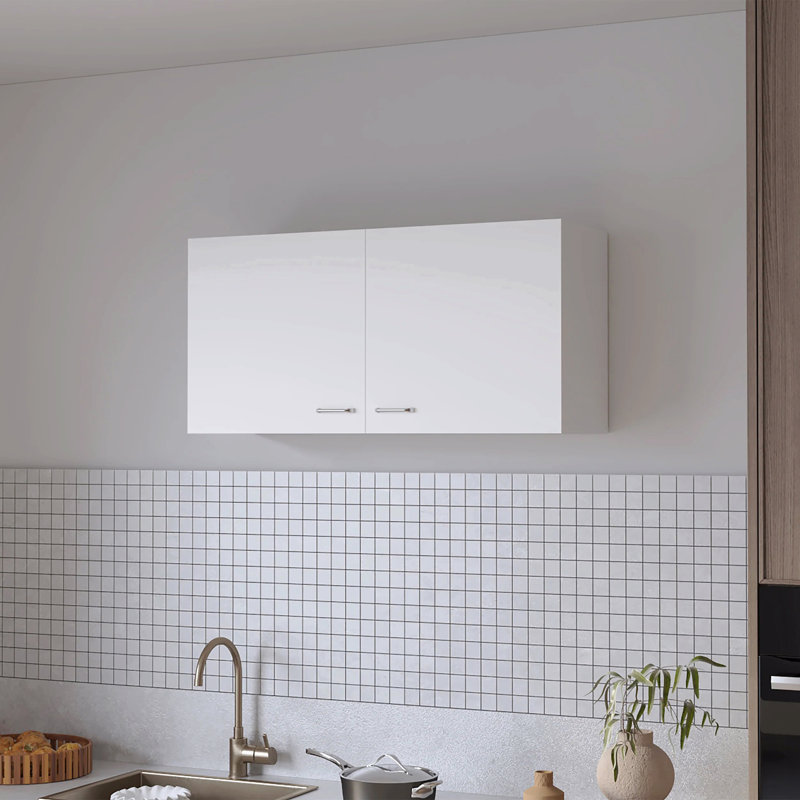 2-Door Wall Cabinet