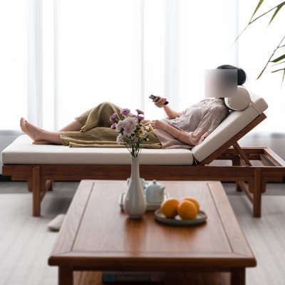 Adjustable Backrest Comfort Indoor Lounge Chair