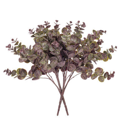 19 plantes