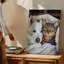 Toile d'un chien blanc moelleux avec de grands yeux noirs expressifs et de l'art mural-1298654978