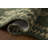 Rifle Paper Company x Loloi Lisette Forest / Oatmeal  Area Rug-129439533-126258170