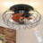 Didula 19.7'' Ceiling Fan with Light Kit