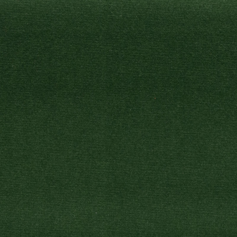 Tissu Sahara, Buis