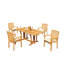 Hari Outdoor 5 - Piece Teak Dining Set