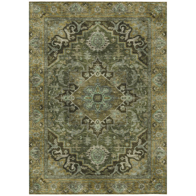 Machine Washable Indoor/Outdoor Arline ACN2165 Global Rug