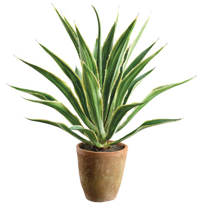 33'' Faux Agave Plant in Terracotta Pot
