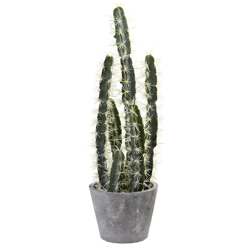 Cactus décoratif avec jardinière et jardinière en ciment