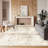 Stylish Woven Carpet, 5.2 x 7.5 Feet | 100% Polyester, 0.3 in Pile Height, Antibacterial, Non-Slip PVC Dot Underside | Machine Washable, 3D Digital Print | Perfect for Living Room, Bedroom & Home Décor-126008192