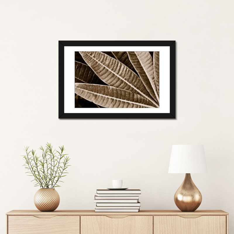 Albree Modern, sépia, feuilles, impression sur toile, H 16 po x l 24 po x P 1 po, Papier avec cadre noir, Blanc