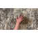 Abstract Indoor Rug