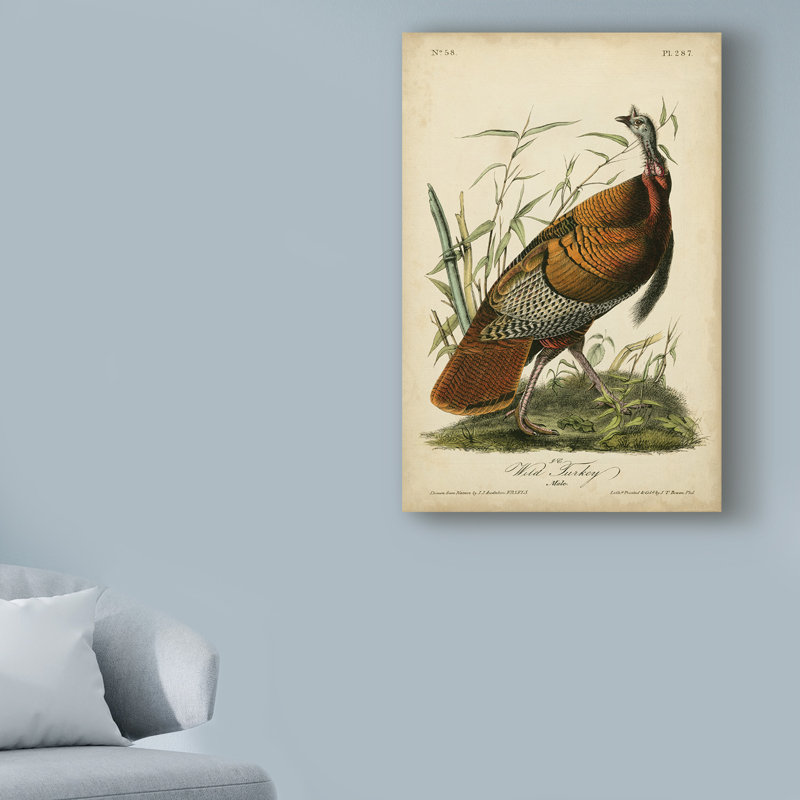 « wild turquie », reproduction d’impression sur toile tendue, H 19 po x l 12 po x P 2 po