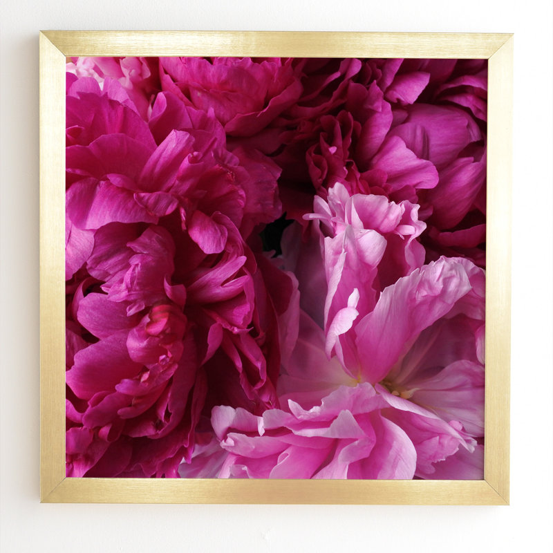 « glamour rose pivoines », reproduction de photo, H 30 po x l 30 po x P 1 po, Cadre satiné