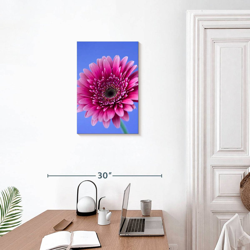 Rose Harnek Gerbera Daisy I, H 24 po x l 16 po