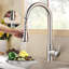 Belfry Kitchen Jonason Pull Out Kitchen Faucet