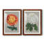«Chrysanthemum on Grey I», ensemble de 2 reproductions d'art-1115168150-1115990874-1115168158