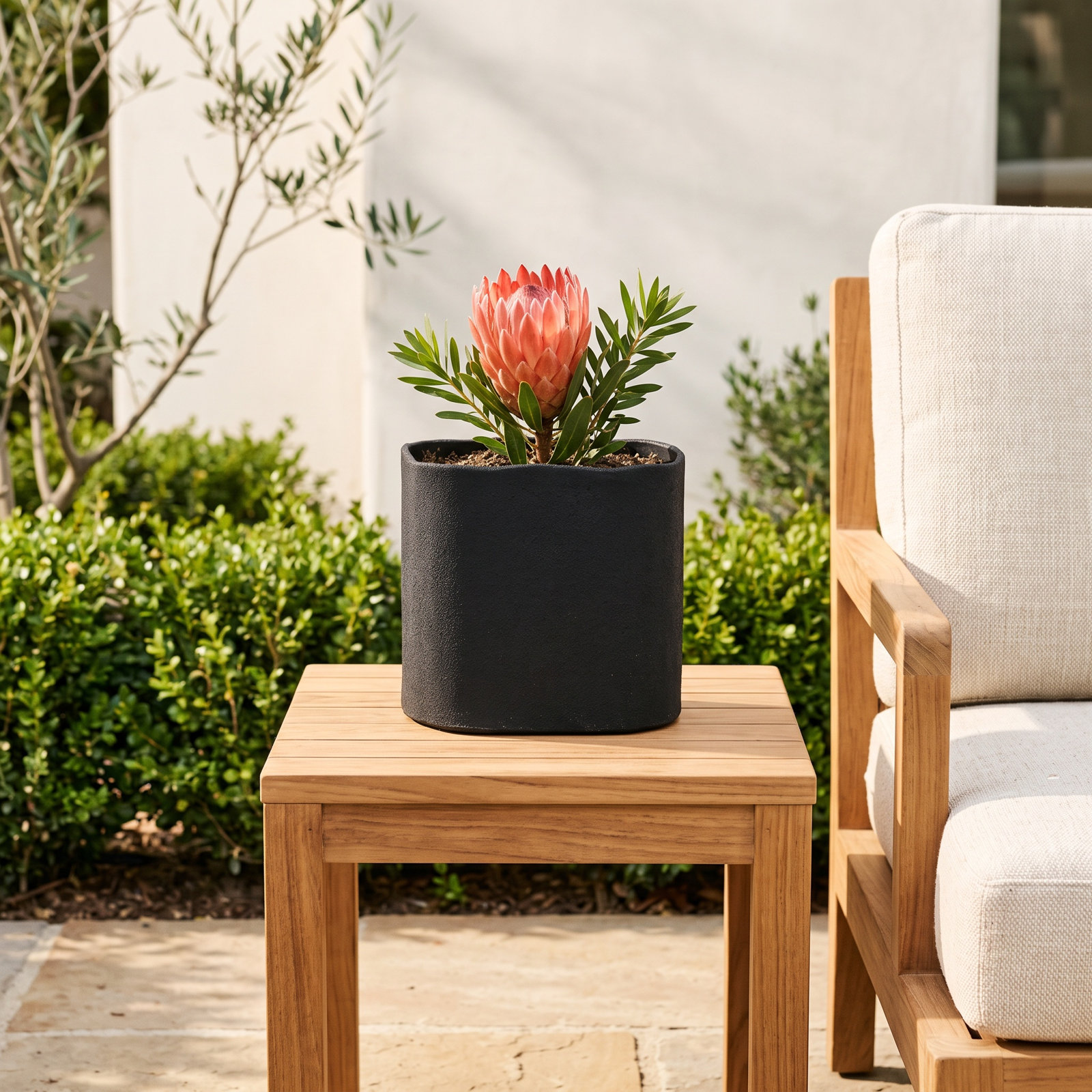Pot Planter, Large, Black