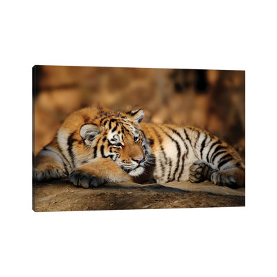 Tiger XII by Goran Anastasovski - Wrapped Canvas Print