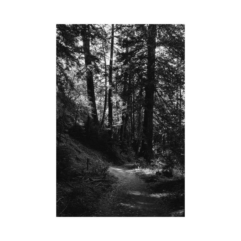 Big Sur Hike by Bethany Young - Print on Canvas, Wrapped Canvas, 45.72cm H x 30.48cm W x 1.91cm D
