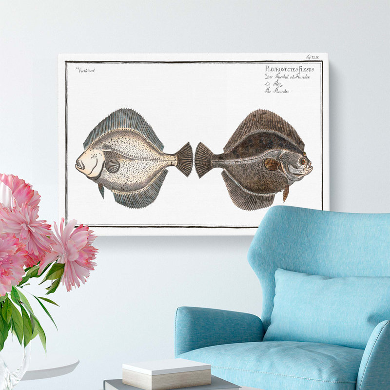 Flounder Fish by M.E. Bloch - Wrapped Canvas, 35cm H x 50cm W x 3cm D