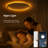 15.8in 36W Flush Mount Ceiling Light with Remote & App Control