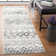 Stroupe Performance Southwestern Rug