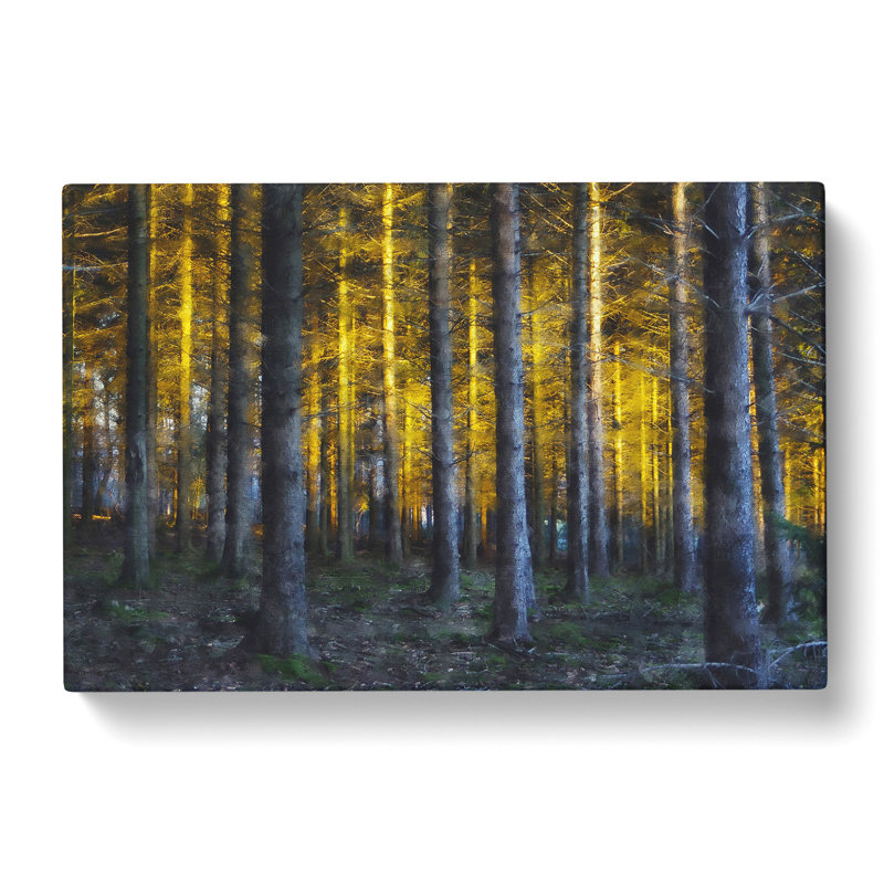 Sunlight Forest Vol.4 - Wrapped Canvas, 35cm H x 76cm W x 3cm D