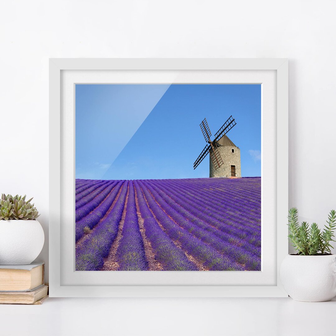 Gerahmter Fotodruck Lavender Scent in Provence