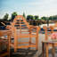 Passarelli Outdoor Teak Dining Armchair