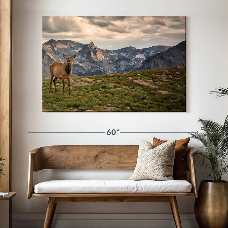 Brampt Rocky Mountain Elk, 34" H x 51" W