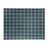 Plaid Indoor Rug-53649800