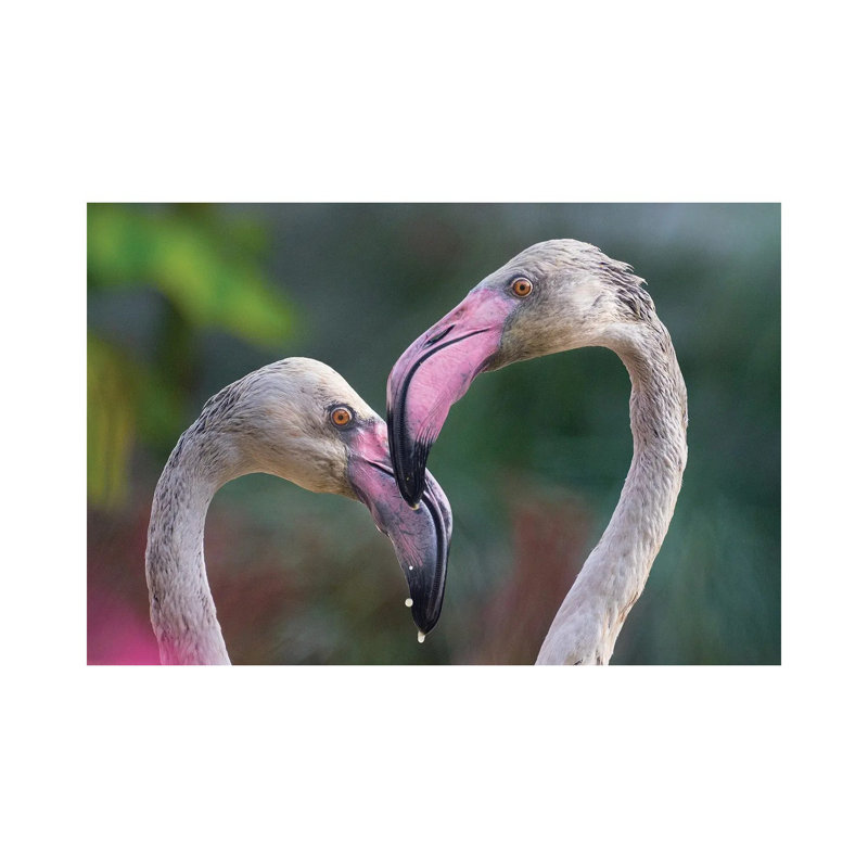 Love Bird by Goran Anastasovski - Wrapped Canvas Print, 30.48 cm H x 45.72 cm W