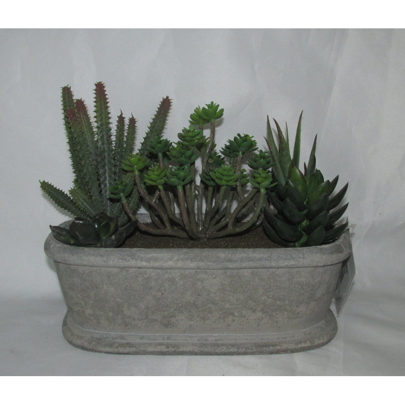 Small Green Plastic Succulent Topiary in Ceramic Pot
