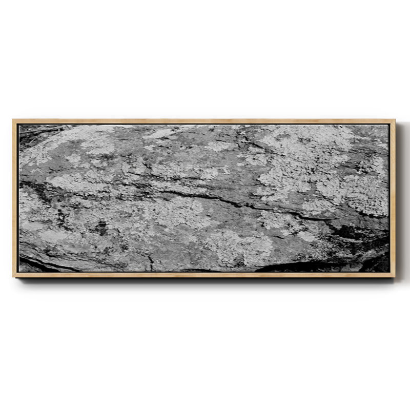Found Textures XVI- Framed Canvas, 24" H x 60" W