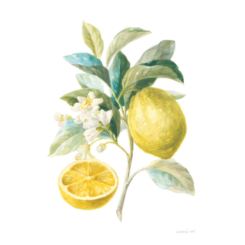 «Floursack Lemon III on White» par Danhui Nai - peinture sur toile, H 36 po x l 24 po