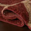 Sivra Bordered Rug-1776085623