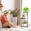 Plant Stand