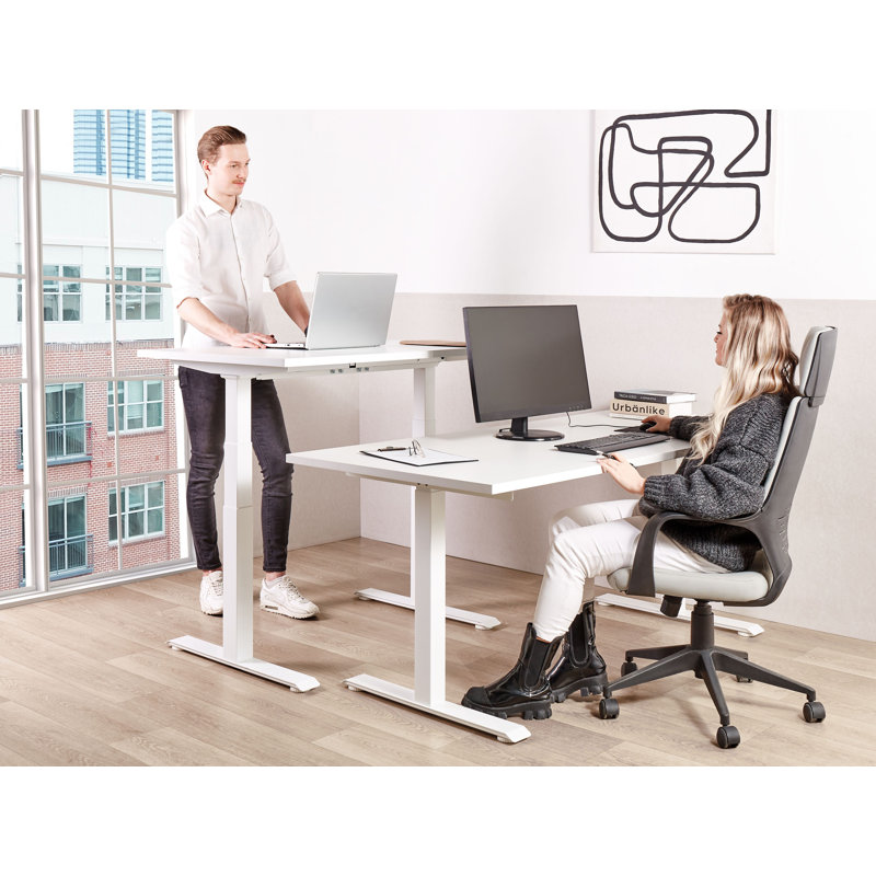 Nateasha Adjustable Metal Base Standing Desk, 119cm H x 120cm W x 72cm D, White, White