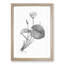 Egyptian Lotus Flower - Picture Frame Painting Print-55725159-55725160