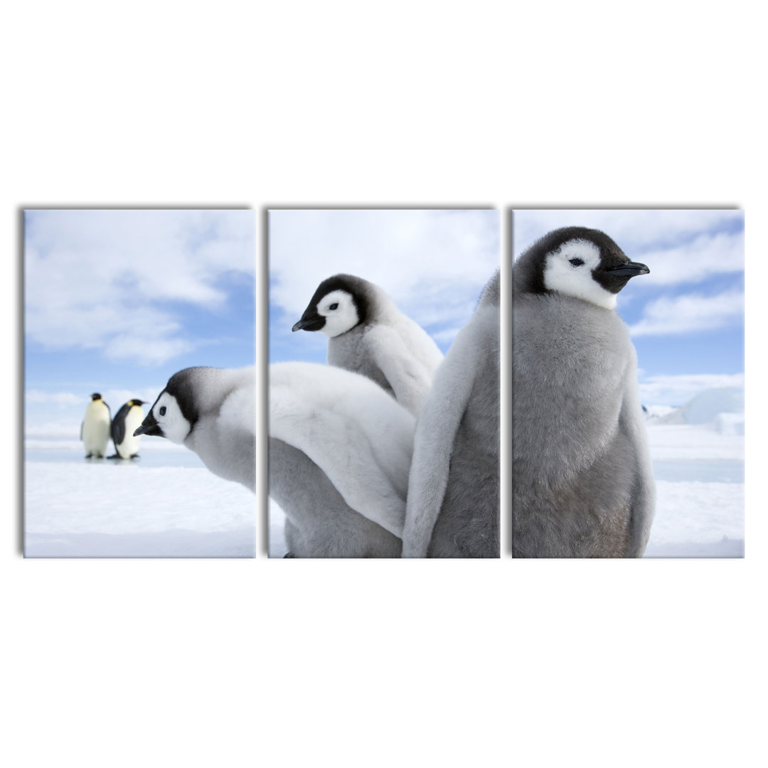 'Giant Tree in the Jungle' 3 Piece Emperor Penguins Photographic Art Print on Canvas