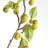 Barringer CRABAPPLE BRANCHES 45" Set of 2