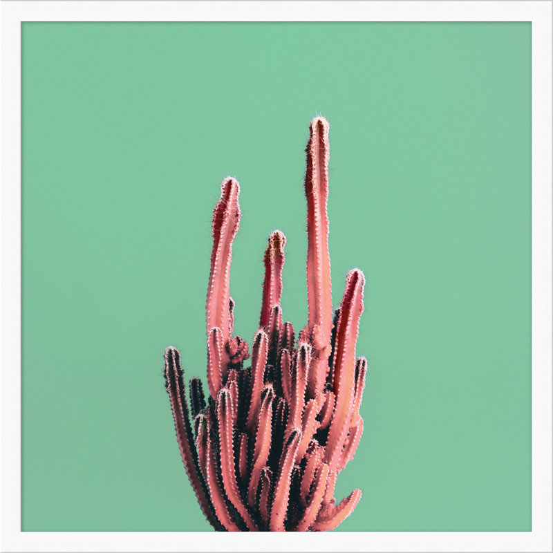 Sherbet Cactus 4 par Christopher Kennedy - cadre photo, impression sur papier