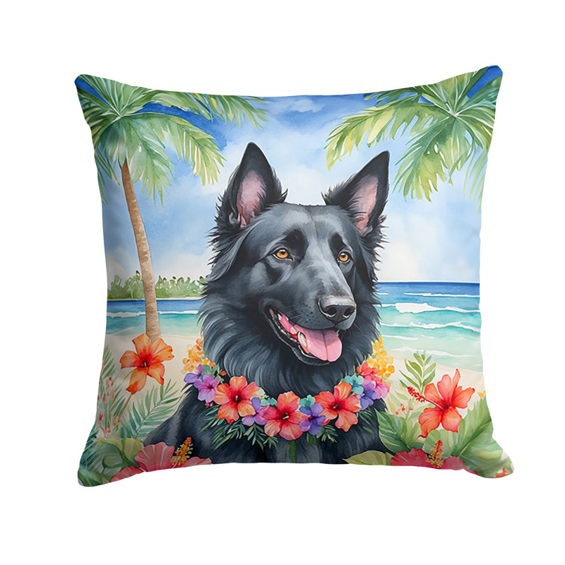 Coussin décoratif intérieur / extérieur Autre / Sans motif, H 14 po x l 14 po