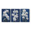 Floral Study Series LVI - Ensemble de toiles tendues avec châssis Premium - Prêt à être accroché-494425406