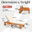 Outdoor Wood Foldable Chaise Lounge Chair, Cushion Included