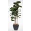 Faux Fiddle Leaf Fig Tree in Metal Planter-2016286776